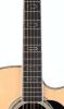 Neck
